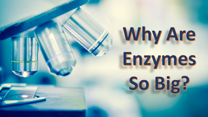 big-enzyme-1