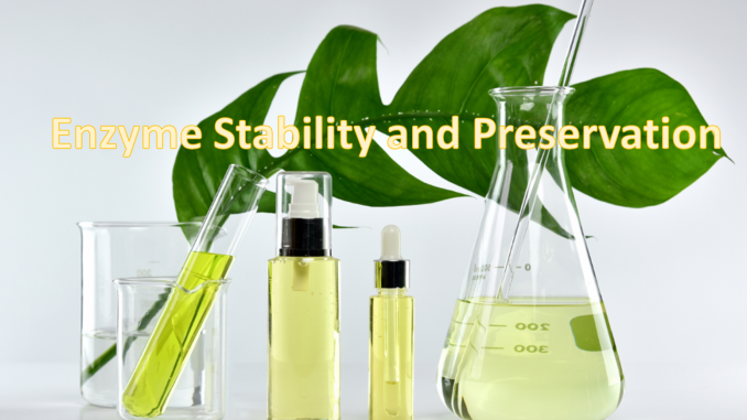 Enzyme-Stability-1