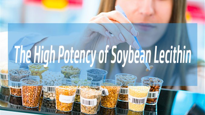Soybean-Lecithin-1