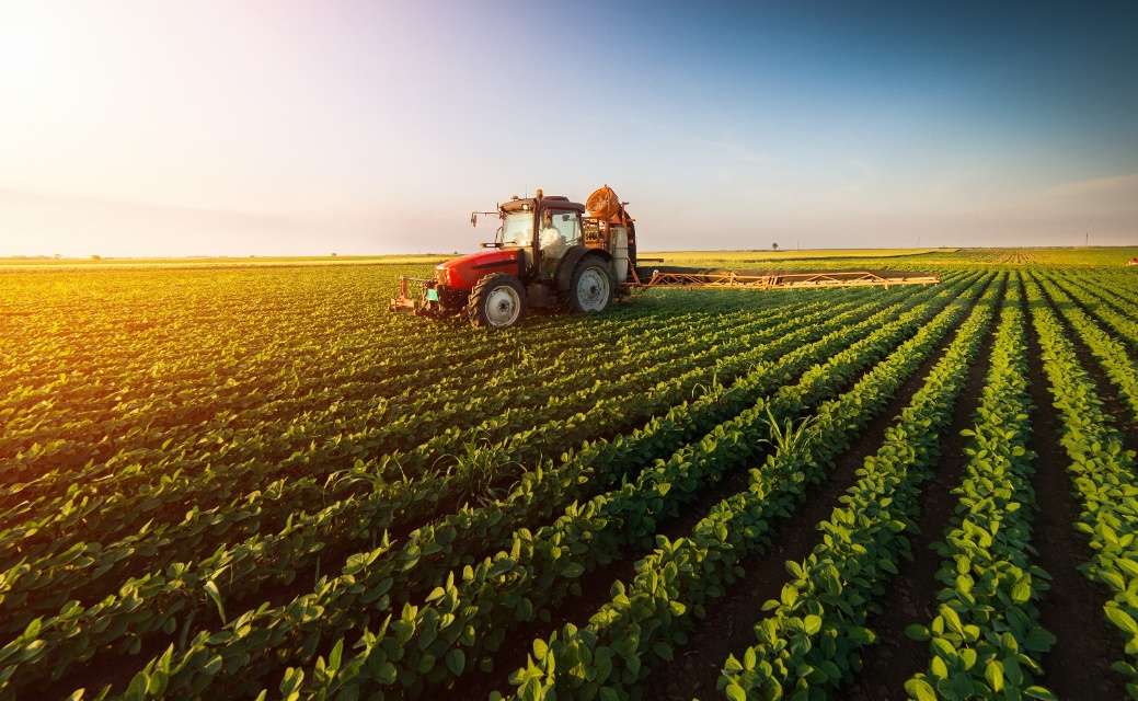 Enzyme, die in der Landwirtschaft verwendet werden, können die Bodenqualität verbessern und das Pflanzenwachstum fördern.