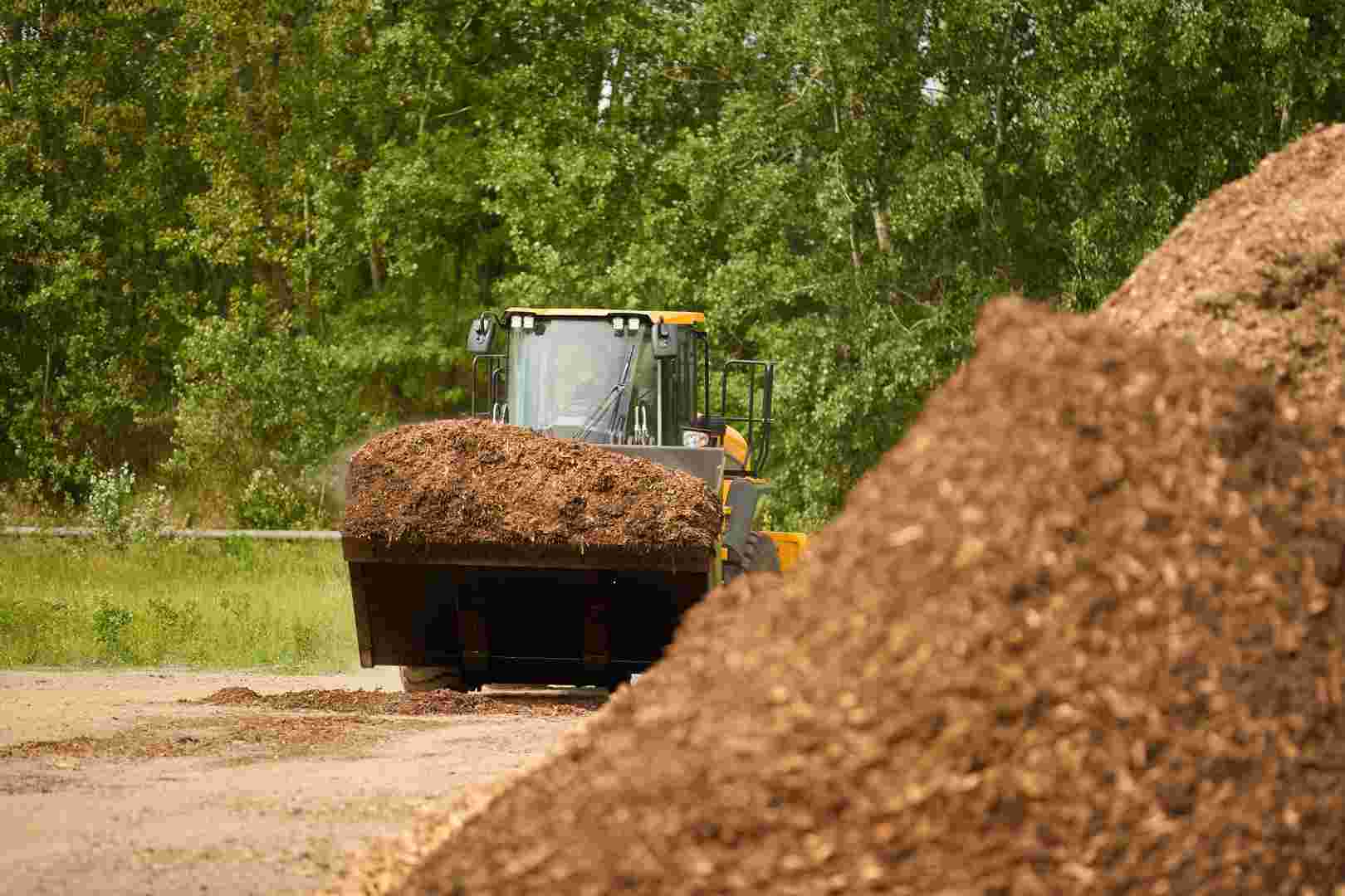 Laccasen und Peroxidasen können Lignin für die Biomassenverarbeitung abbauen.