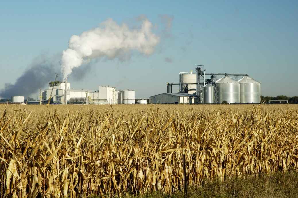 Enzyme wandeln Biomasse effizient in nutzbare Energie um.