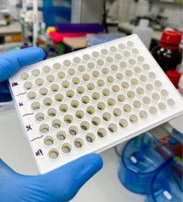 Hochdurchsatz-Enzym-Screening - Creative Enzymes