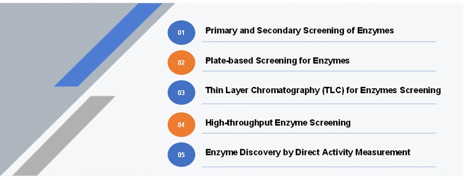 Enzym-Screening aus natürlichen Quellen - Creative Enzymes