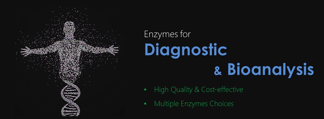 Enzyme für Diagnostik und Bioanalyse von Creative Enzymes.
