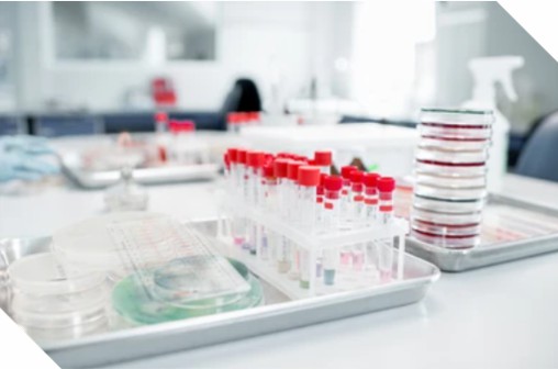 Enzym-Screening basierend auf Proteininteraktionen - Creative Enzymes
