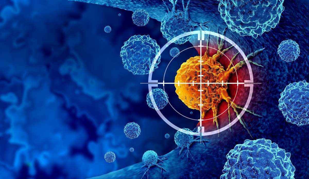 Enzyme in der Onkologie von Creative Enzymes.