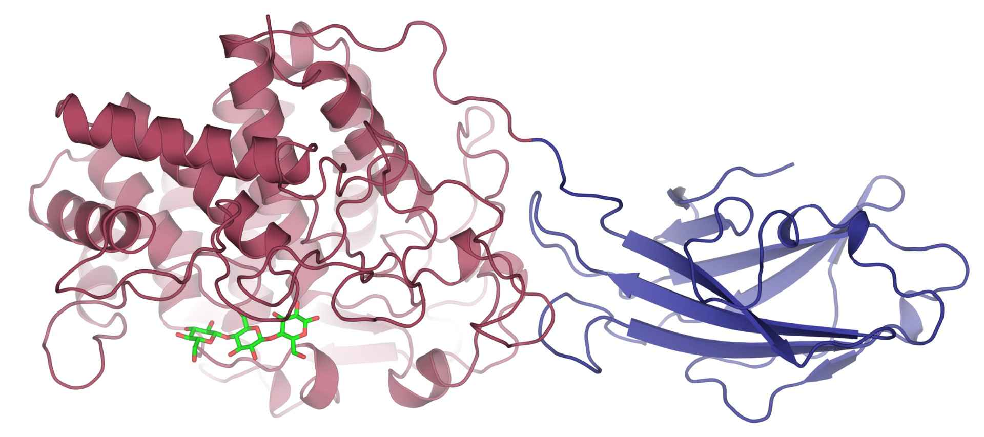 Struktur von Endo/Exocellulase E4.