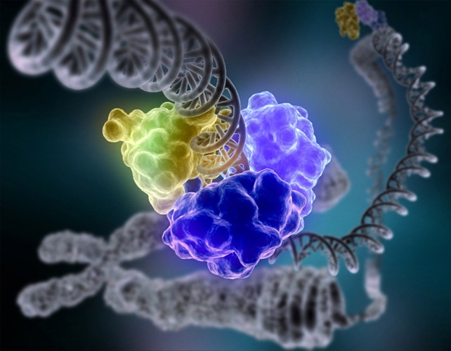 Illustration der DNA-Ligase bei der Reparatur von DNA-Schäden.