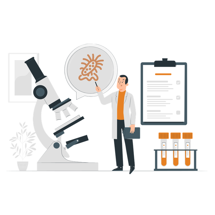 Zellbiologie & Stammentwicklung