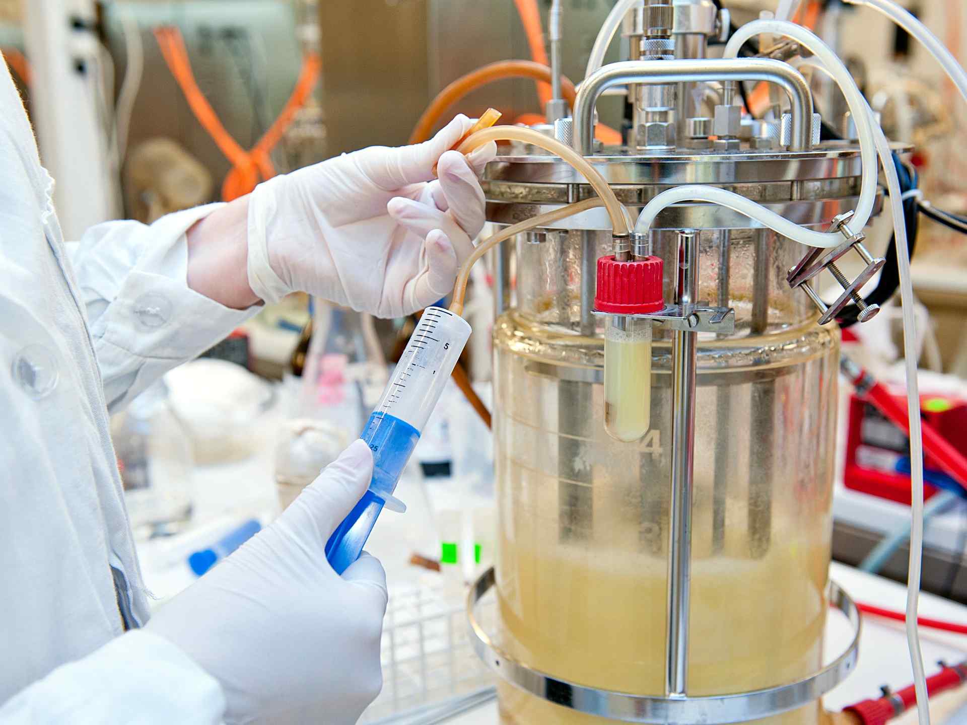 Testfermentation & Probenahme