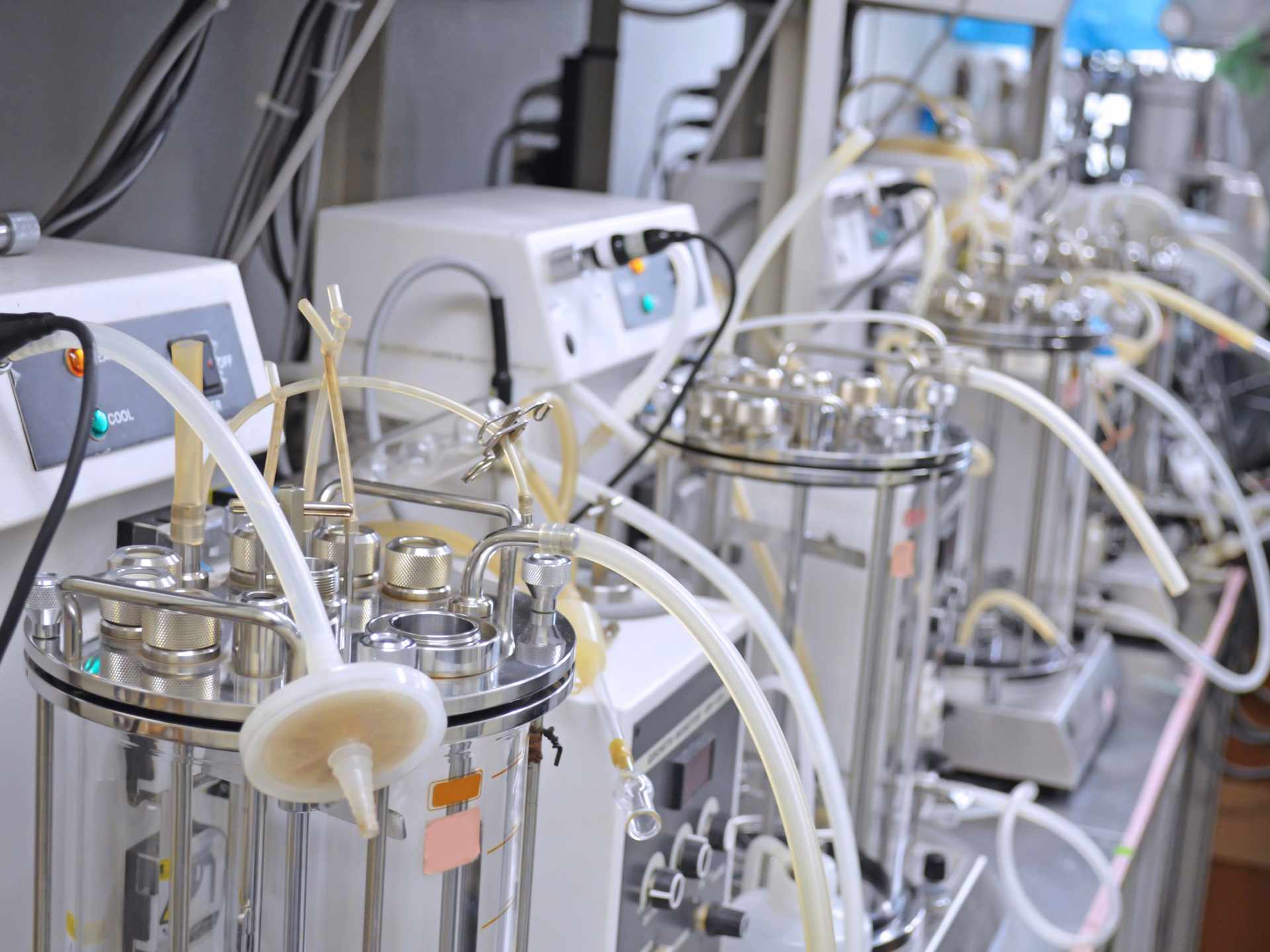 Überwachung industrieller Fermentationsprozesse