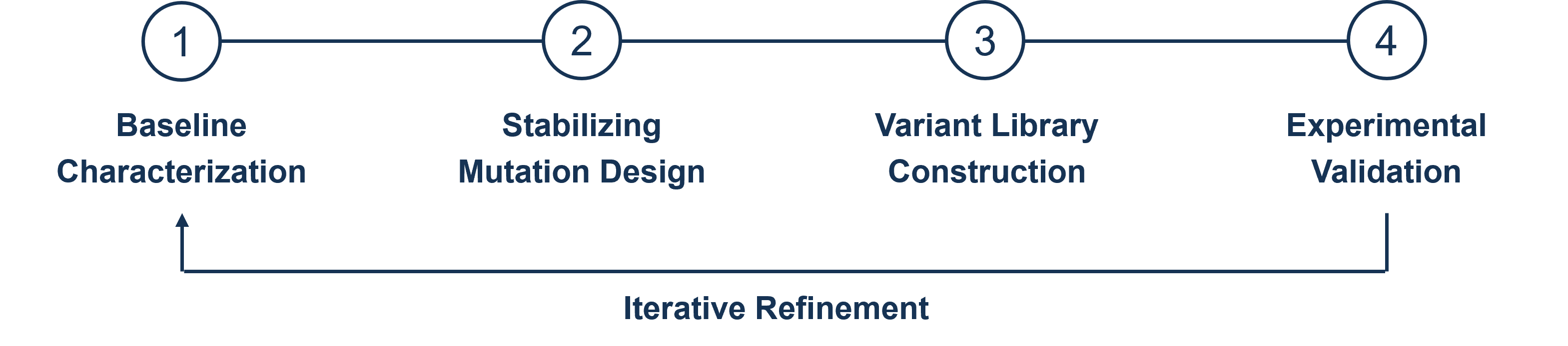 KI-gestützter Workflow zur Stabilitäts- und Developability-Optimierung