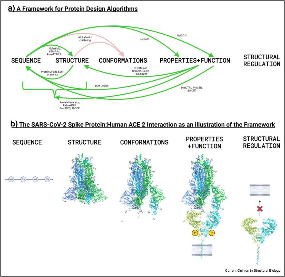 Overview of computational protein design workflows and SARS-CoV-2 spike protein structure