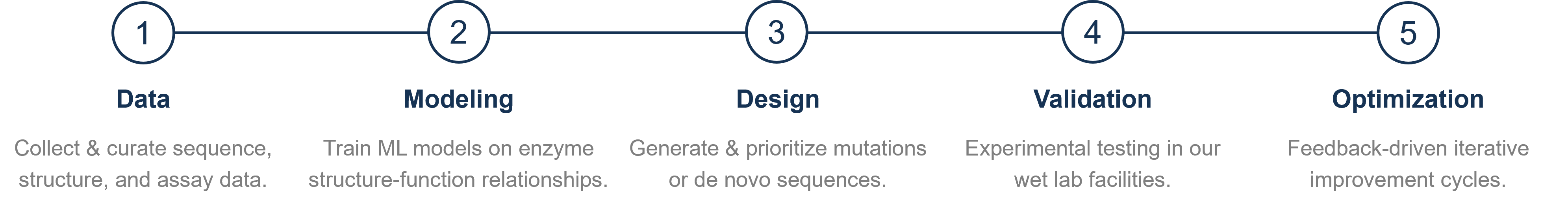 KI-integrierter Enzym-Engineering-Workflow