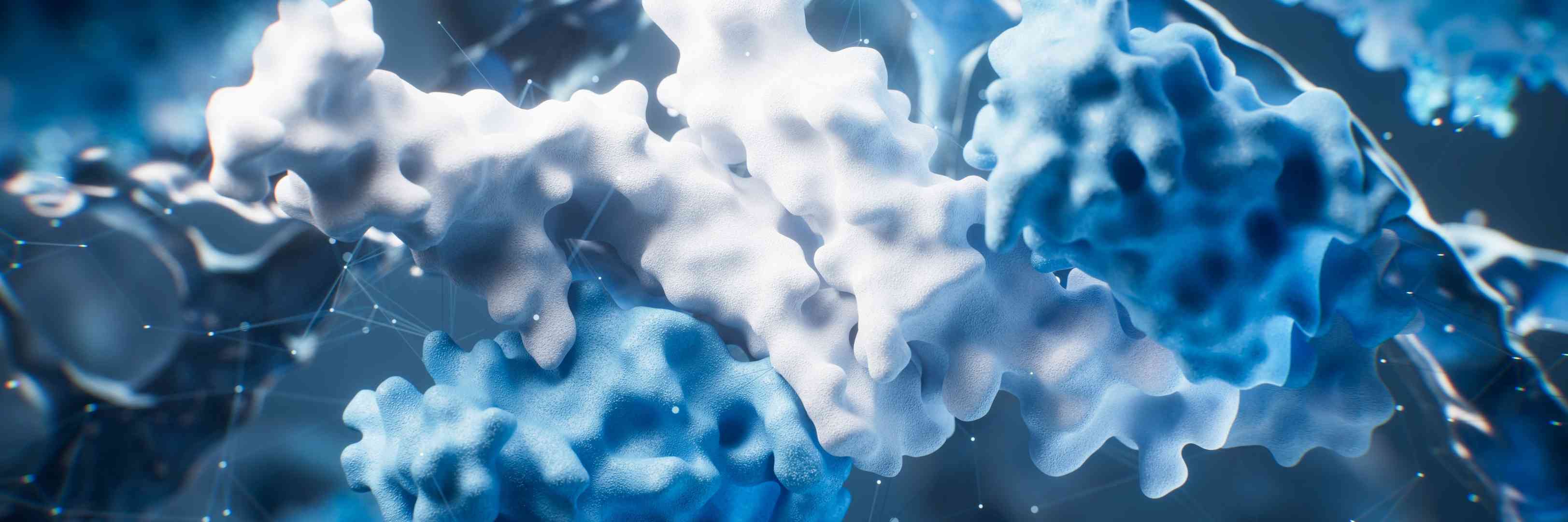KI-basierte Analyse von Proteinstruktur und -konformation