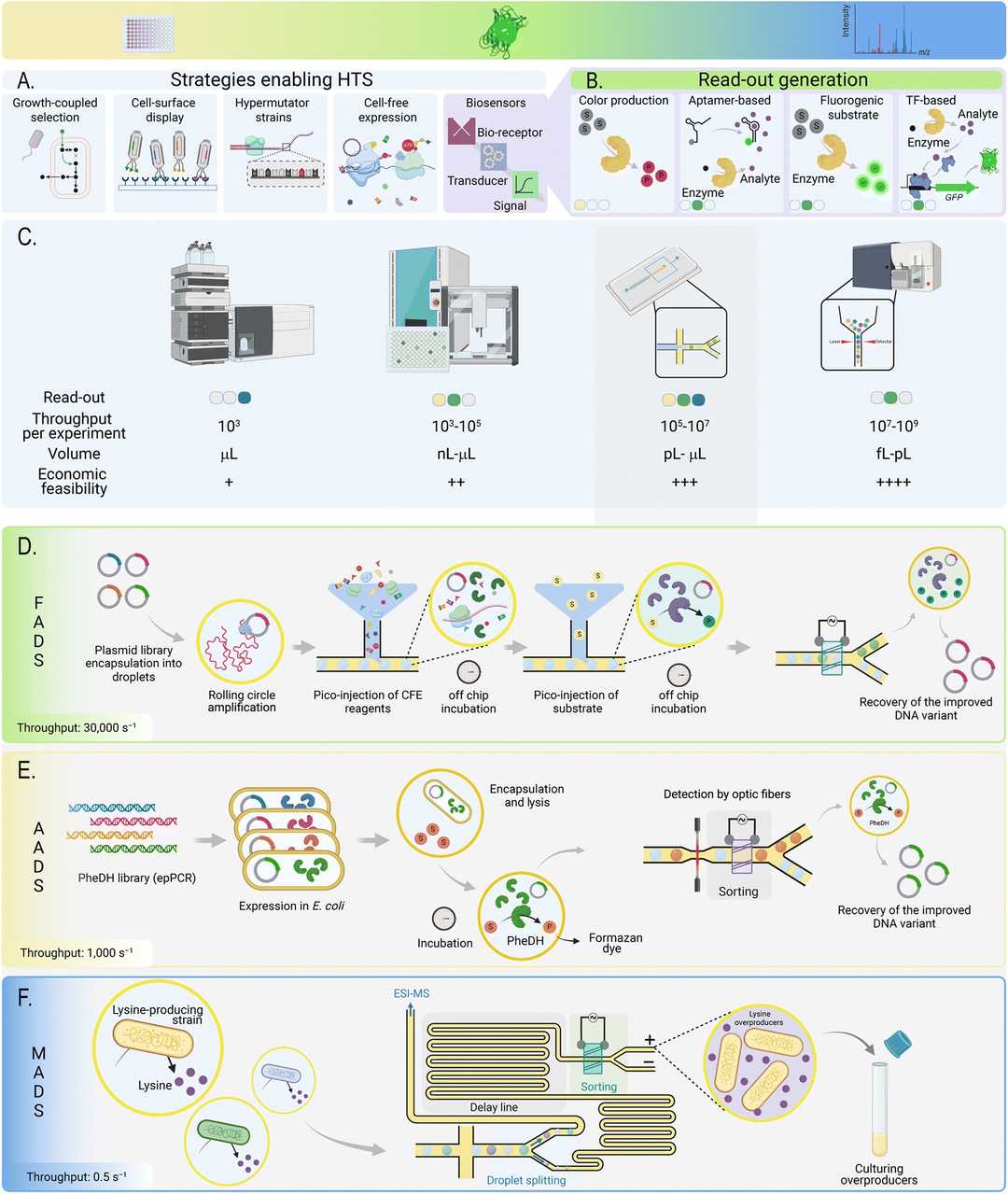 High-Throughput Enzyme Engineering for Sustainable Biocatalysis