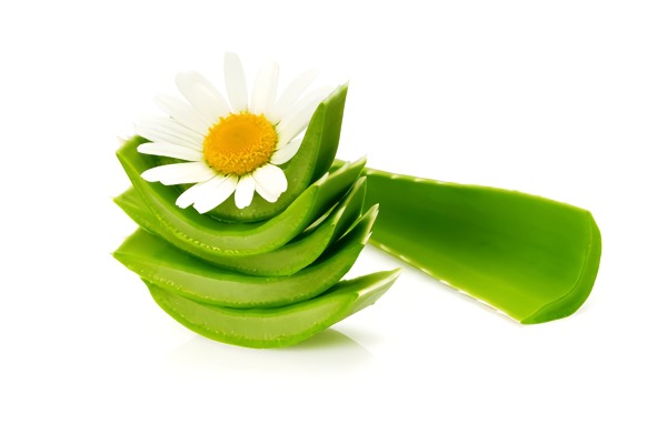 Aloe Vera und Kamille.