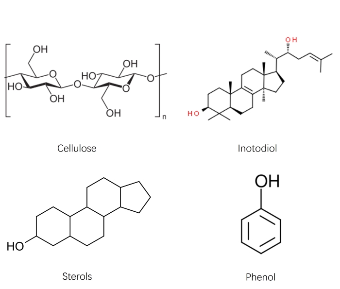 Beispiele für Komponenten von Pilzextrakten: Cellulose, Inotodiol, Sterole und Phenol.