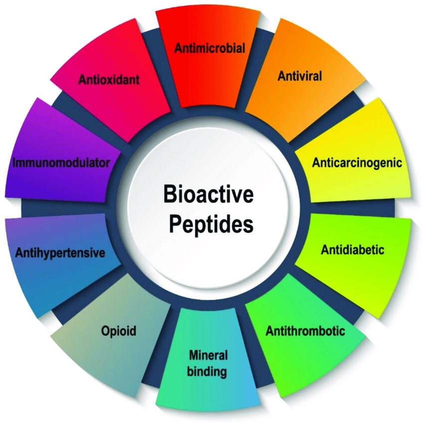 Schematische Darstellung verschiedener Arten von bioaktiven Peptiden aus Tieren.