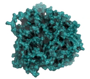 Enzymaktivitätsmessung für Oxidoreduktasen, die auf die CH-OH-Gruppe mit einem Kupferprotein als Akzeptor wirken