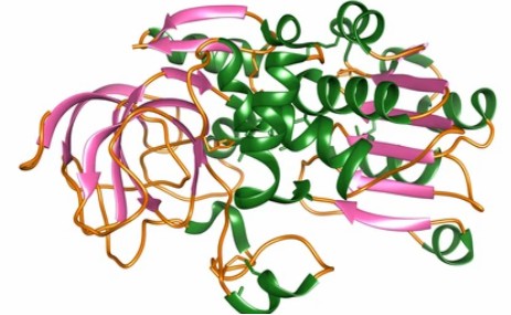 Enzymaktivitätsmessung für Oxidoreduktasen, die auf die Aldehyd- oder Oxogruppe von Donoren mit einem Cytochrom als Akzeptor wirken