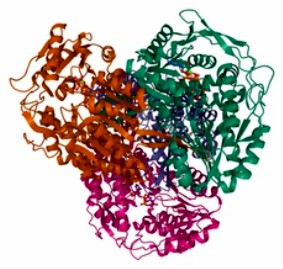 Enzymaktivitätsmessung für Oxidoreduktasen, die auf die Aldehyd- oder Oxogruppe von Donoren mit Sauerstoff als Akzeptor wirken