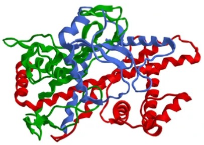 Enzymaktivitätsmessung für Oxidoreduktasen, die auf die CH-CH-Gruppe von Donoren mit einem Cytochrom als Akzeptor wirken