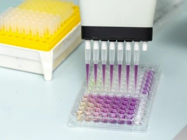 Enzymaktivitätsmessung für Oxidoreduktasen, die auf CH-CH2-Gruppen mit einem Chinon oder einem ähnlichen Molekül als Akzeptor wirken