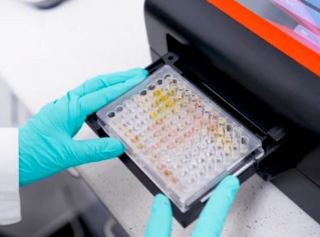 Enzymaktivitätsmessung für Oxidoreduktasen, die auf die CH-NH2-Gruppe von Donoren mit einem Eisen-Schwefel-Flavoprotein als Akzeptor wirken