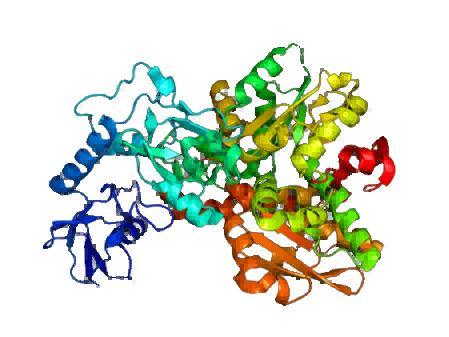 Struktur der Ferredoxin-Hydrogenase