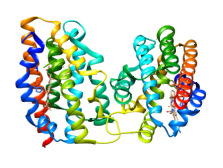 Struktur der humanen Hämoxygenase 1 (PDB: 1n3u)