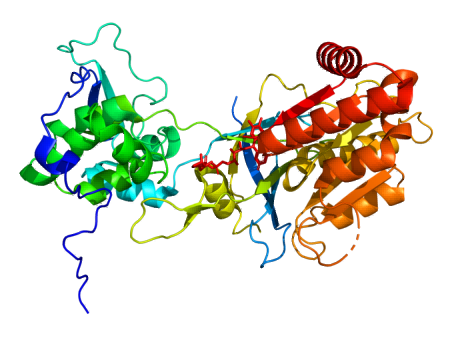 Struktur einer humanen (Methioninsynthase)-Reduktase (MTRR) (PDB: 2qtl)