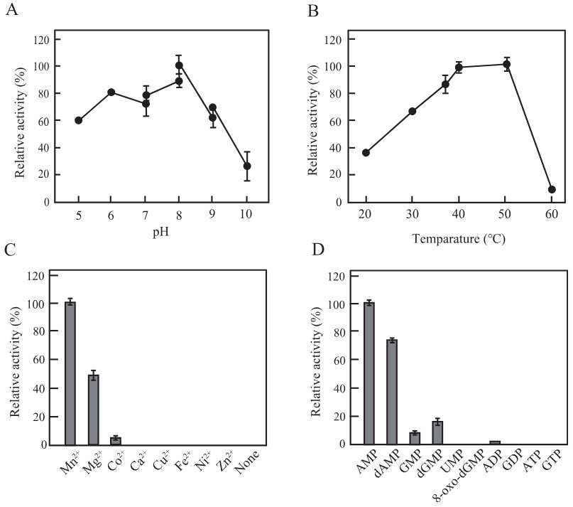 Enzyme activity of polyphosphate kinase under different reaction conditions
