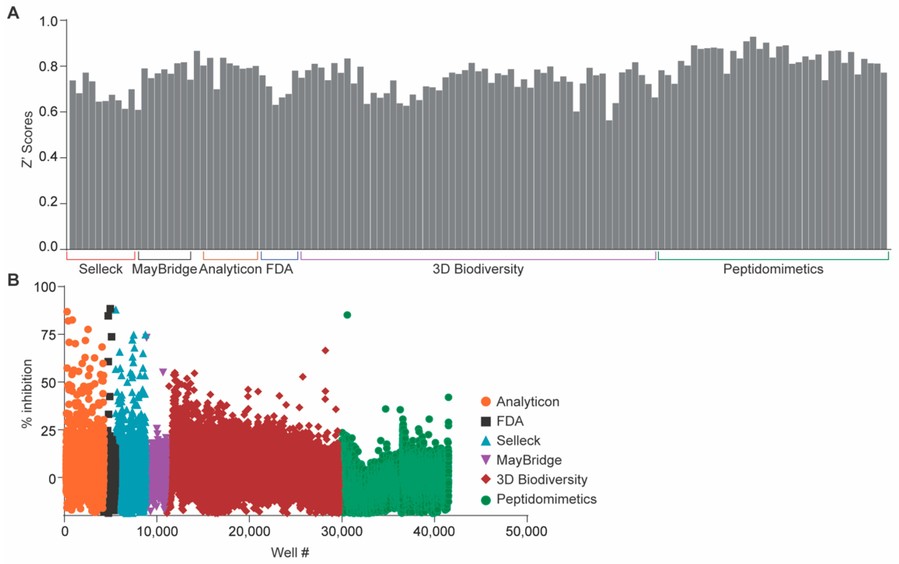 NleB1 inhibitor screening
