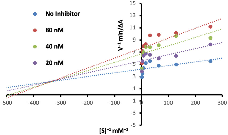 Profil der inhibitorischen Potenz des Donepezil-basierten Analogons 2 gegenüber Acetylcholinesterase (AChE)