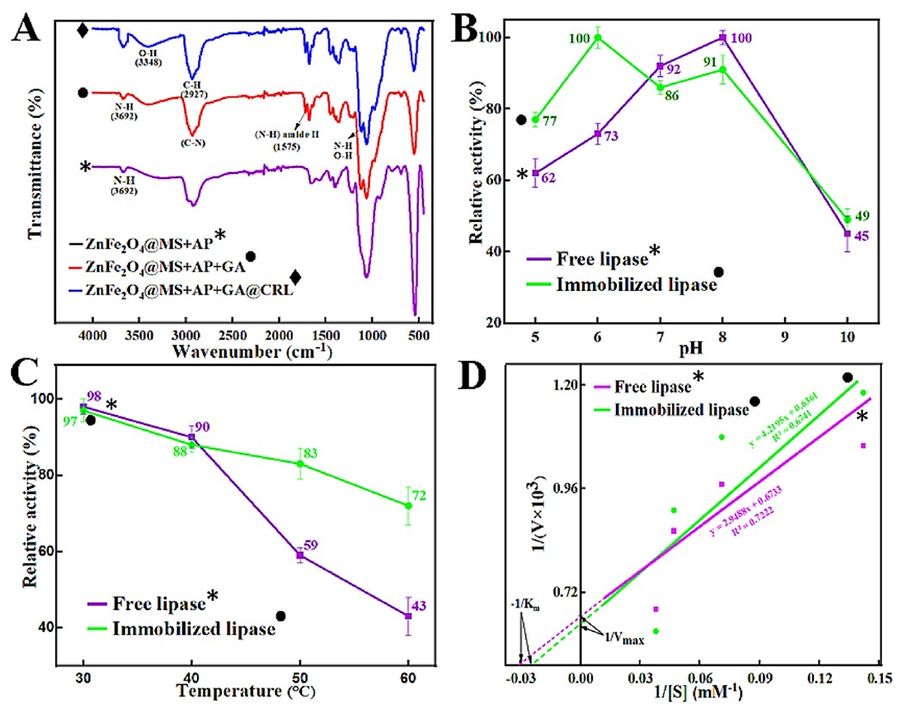 Investigation of loading amount, biocatalytic activity, thermal and pH stabilities, and kinetic parameters of the enzymes of ZnFe2O4