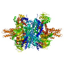 Structure of the GLUD1 protein (PDB 1hwx)