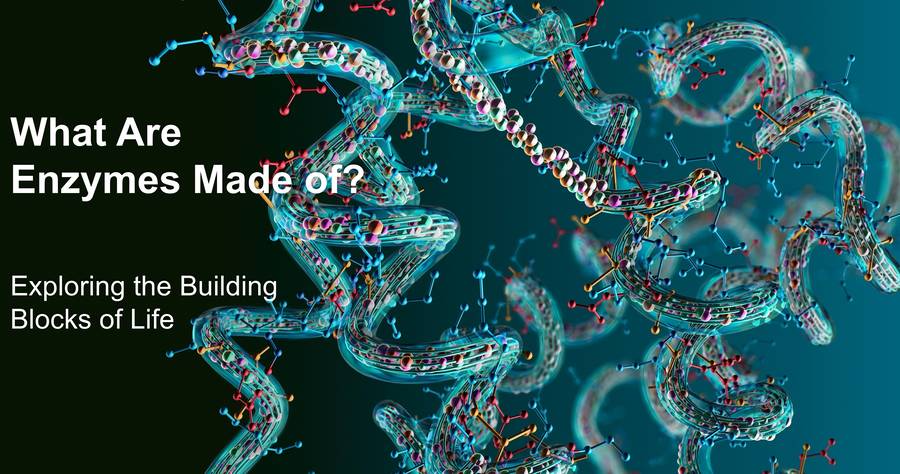 Woraus bestehen Enzyme? Die Bausteine des Lebens erkunden