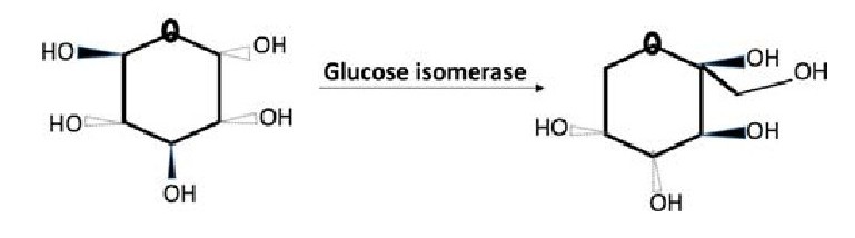 Glukose-Isomerase katalysiert die reversible Umwandlung von Glukose in Fruktose.