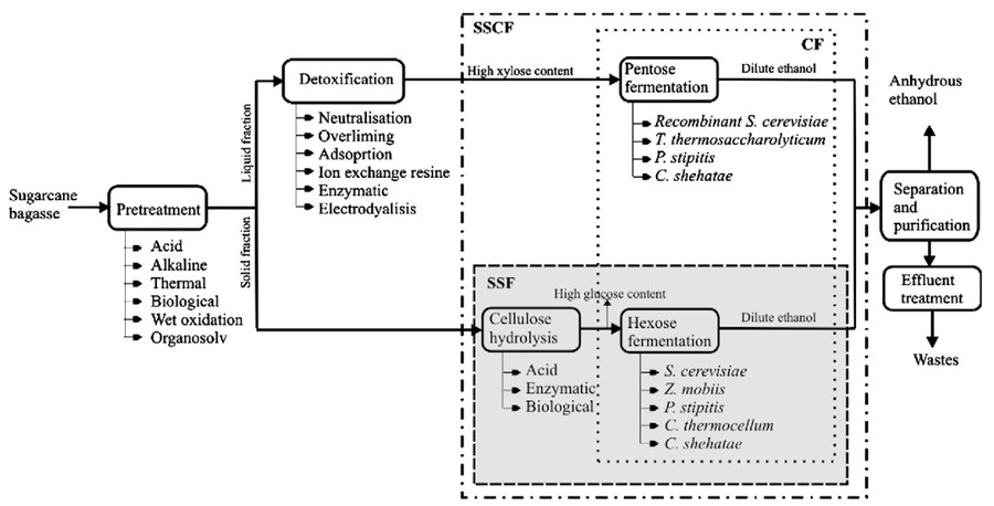Prozessschema der Ethanolproduktion aus Zuckerrohrbagasse.