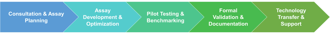 Workflow of enzymology assay optimization and validation