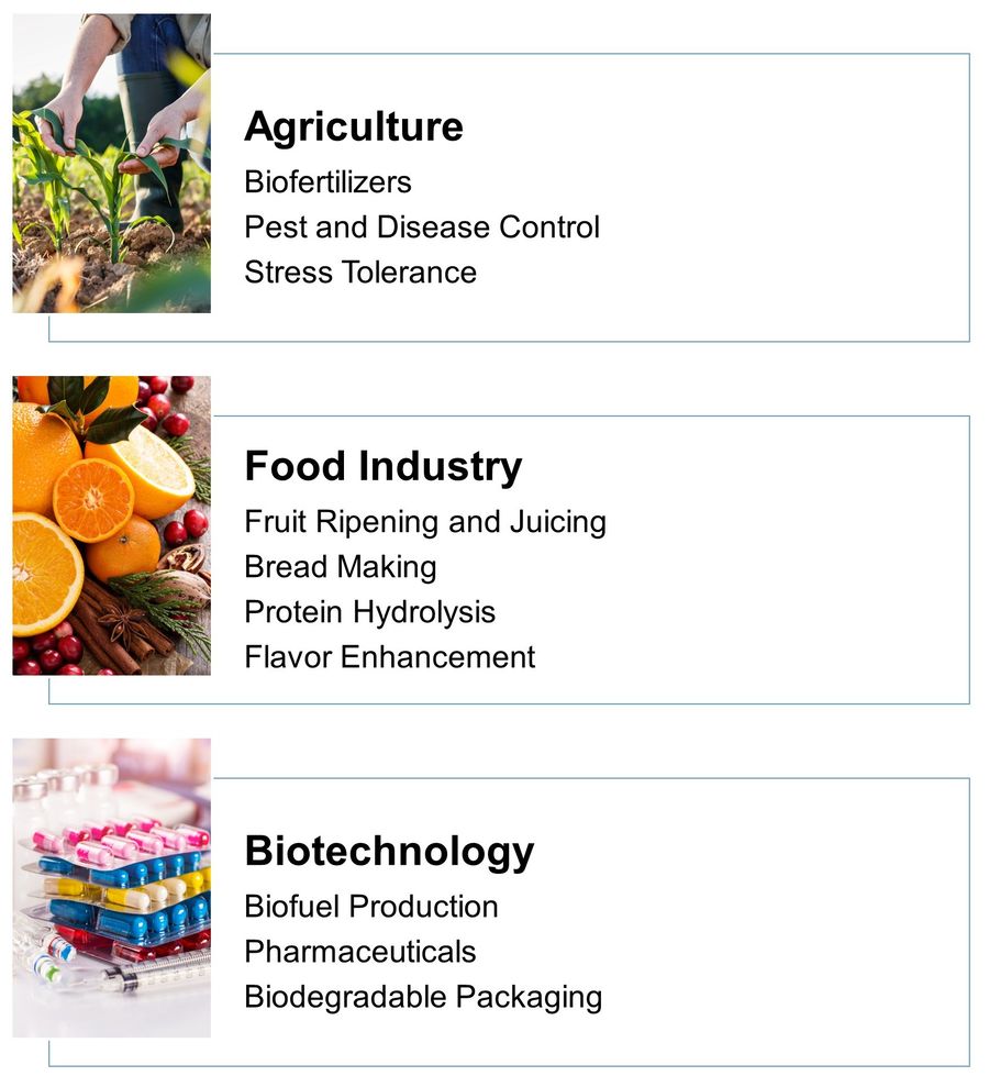 Anwendungen von Pflanzenenzymen: Landwirtschaft, Lebensmittelindustrie und Biotechnologie.