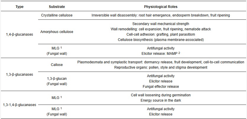Eine tabellarische Zusammenfassung der physiologischen Rollen von pflanzlichen β-Glucanasen.