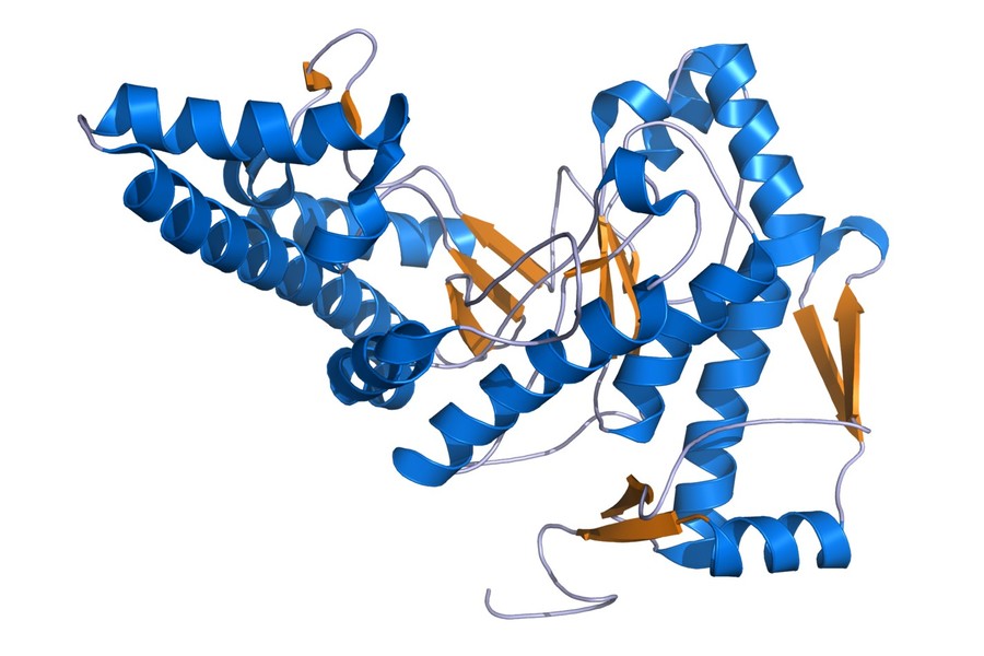 Hyaluronidase Struktur, PDB-Code: 2PE4.