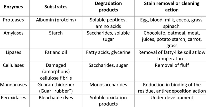 Eine Zusammenfassung der in Waschmitteln und Reinigungsmitteln verwendeten Enzyme und ihrer entsprechenden Substrate, Abbauprodukte und Fleckenentfernungs- oder Reinigungsaktionen.