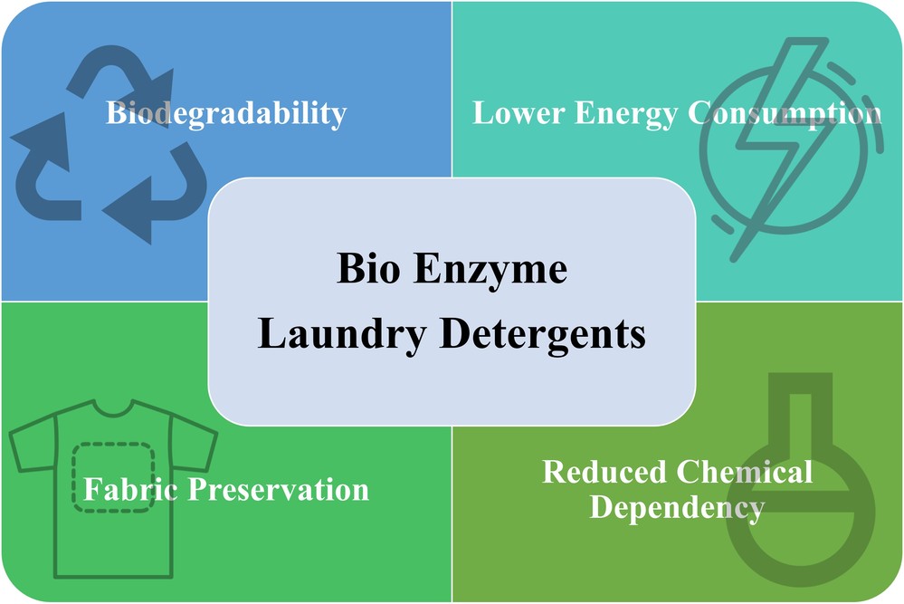 Vorteile von Bio-Enzym-Waschmitteln: Biodegradierbarkeit, niedriger Energieverbrauch, besserer Gewebeschutz, reduzierter Chemikalienbedarf.