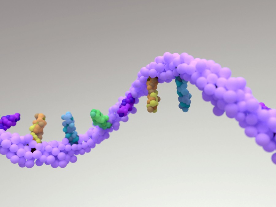 3D Illustration von mRNA.