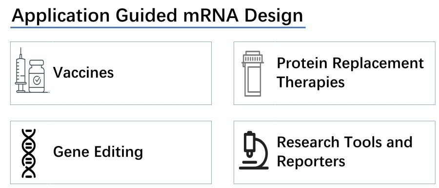 Die mRNA-Produktion wird entsprechend ihren Anwendungen gestaltet.