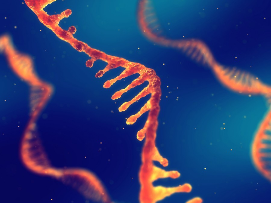 Erfahren Sie mehr über die Innovationen in der mRNA-Produktion mit Creative Enzymes.